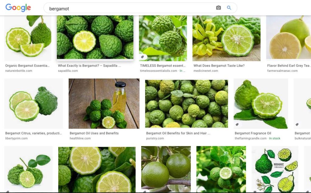 Google image search results for bergamot