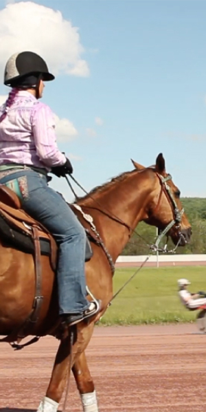 Pennsylvania Harness Horsemen's Association Videos